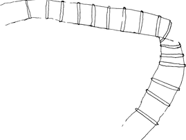 Recurso%2011_edited.png