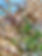 IMG_0982.jpeg