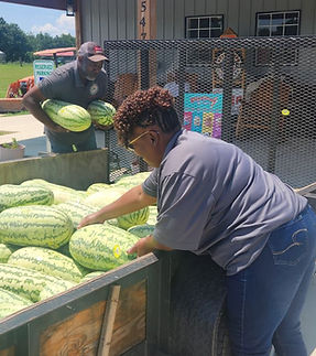watermelon for community.jpeg