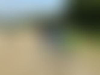 ◇4年生＋　7月20日 ＜トレーニングマッチ＞