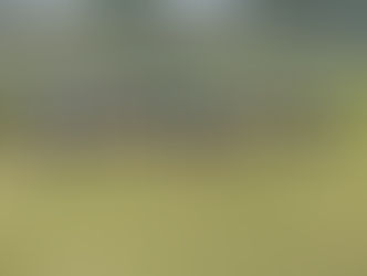 ◇TOP　6月8日 ＜西尾張U-12リーグ戦＞