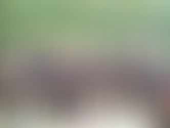 ◇アニマード３月２５日＜練習試合＞８人制