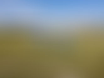 ◇TOP　10月15日 ＜第47回 全日本Ｕ12サッカー選手権大会 西尾張代表決定戦＞