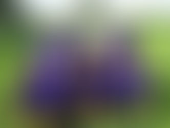 ◇４年生９月２４日＜第５回オレンジカップ＞８人制