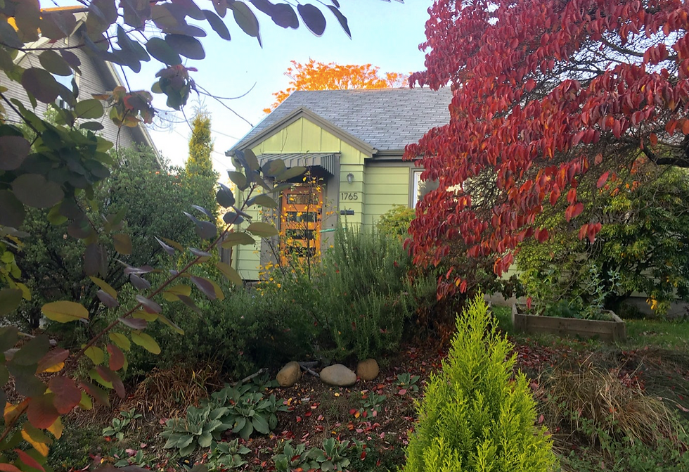 street view_2019-04-29 at 2.21.05 PM.png