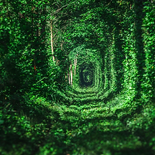 Screenshot 2024-12-22 at 8.22.33 AM.png