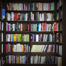 Screenshot 2024-12-22 at 8.38.31 AM.png