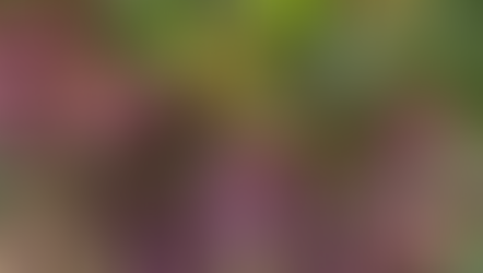 REVISA EL NEWSLETTER DEL MES DE FEBRERO DE ASOCIACIÓN DE AGRICULTORES DEL MAIPO