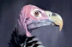 Birds in Art 2019