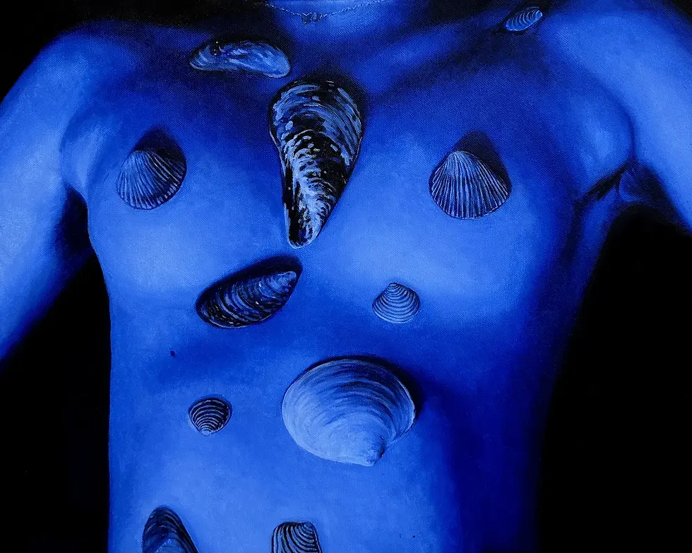 Shells 2 - Oil on canvas, 2026