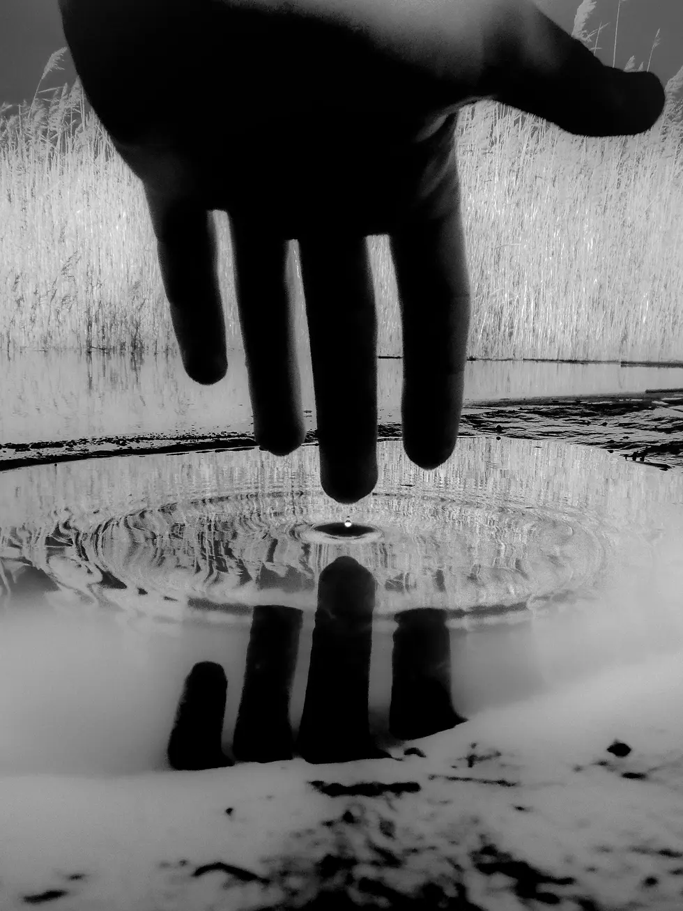 Suspended - Pigment print on Awagami Inbe, 2025