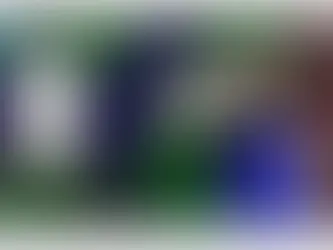 Henry Taylor — Musée national Picasso-Paris