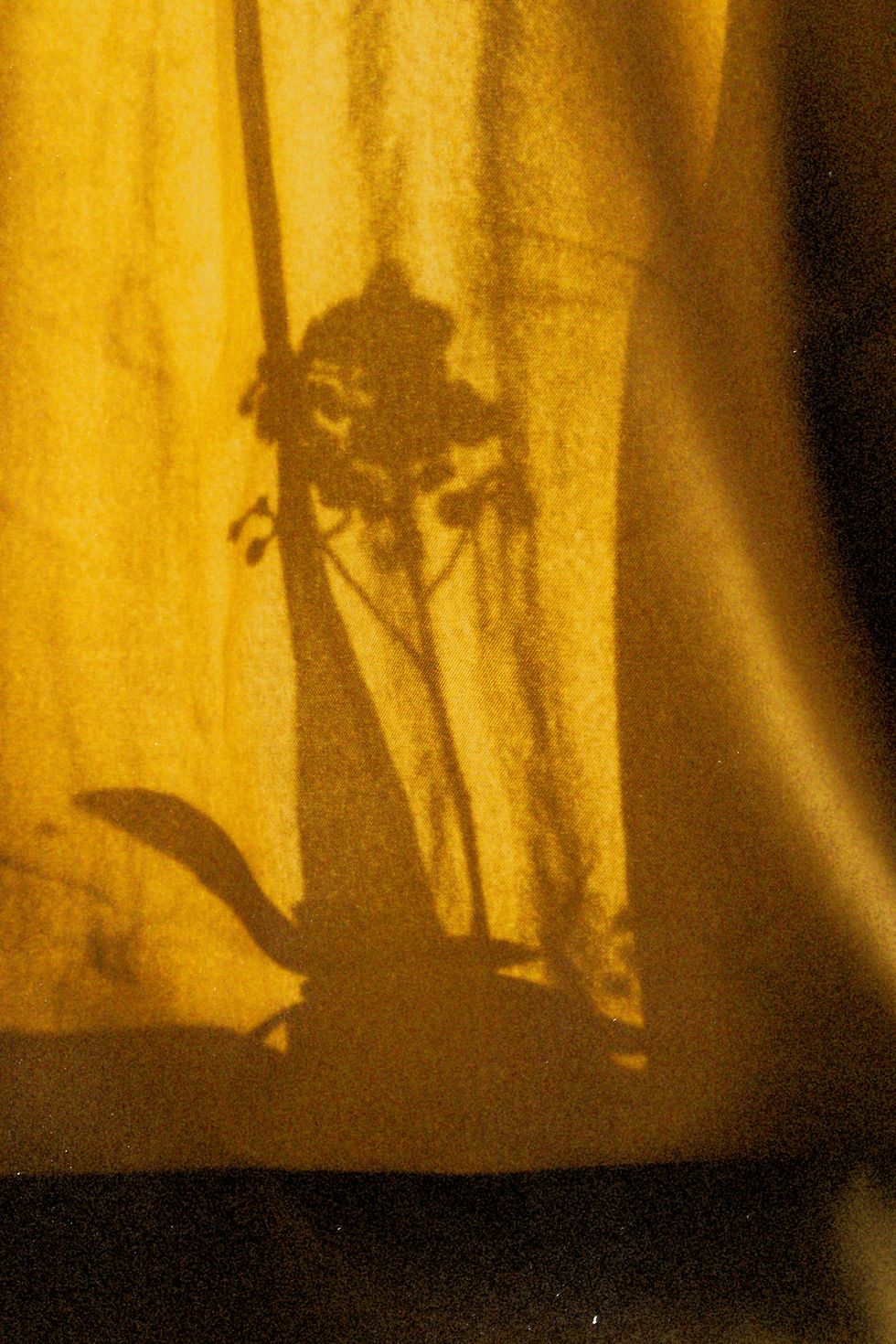 Khi - 35mm negative film, 2025