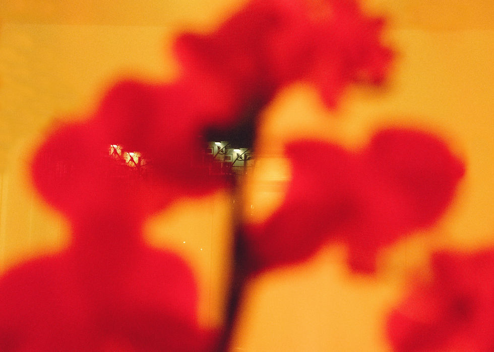 Khi - 35mm negative film, 2025