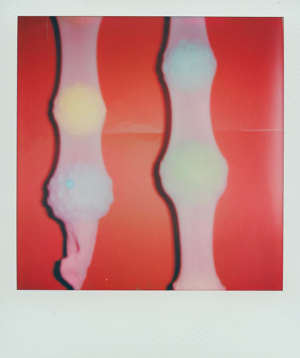 Rajtuzy / Tights - Polaroid photography