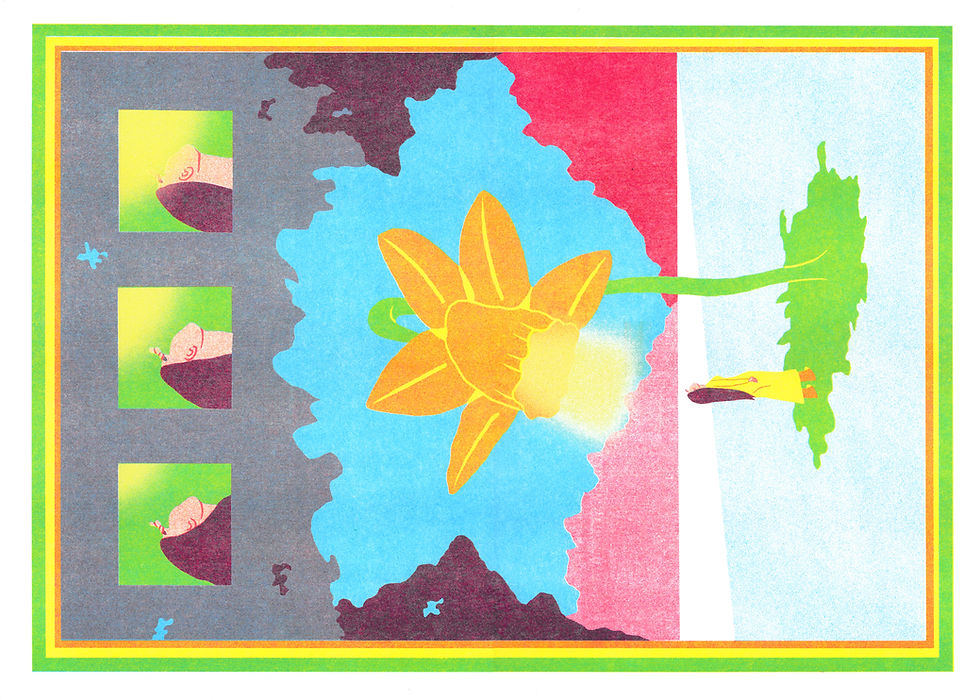 In Bloom - Risograph print, 2025