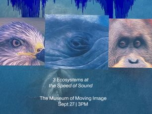 Sonic Sunset — Climate Week NYC through 63 Channels of Sound