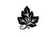 ChatGPT Image Aug 7, 2026, 04_46_51 PM.png