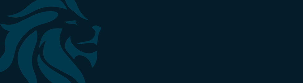 Footer-100.jpg