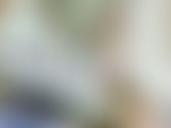 Brasil tem quase 220 mil novas empresas em maio, revela indicador da Serasa Experian