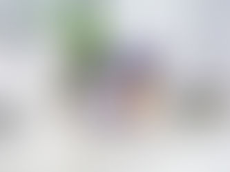 ABCasa Fair terá novidades em aromatizantes e difusores da Floresta Verde