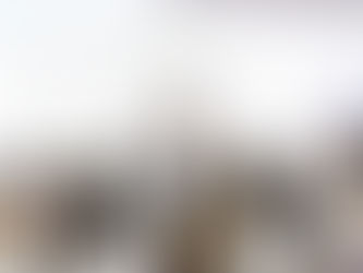 Rodrigo Ferraz fez um passeio pelo mundo dos vinhos na Arena UD Experience