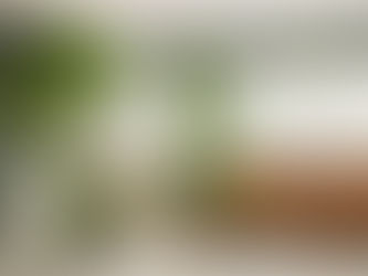 Os principais lançamentos em flores permanentes estarão na ABCasa Fair