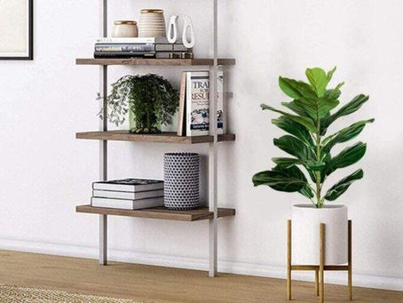 Rio Preto (SP) está entre as 50 maiores no consumo de casa e decoração