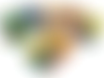 Detentora de licenças exclusivas da Disney e Turma da Mônica, Culturama levará novidades para a ABCasa Fair