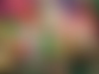 Celebra Show recebe lançamento dos temas de aniversário Babytube