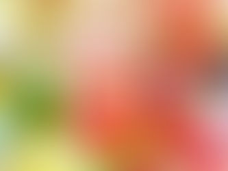 Celebrar Shopping terá time de sete decoradores em seu estande na Natal & Festas da ABCasa