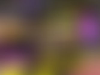 Desembrulha Presentes Criativos aposta em venda ao consumidor final para superar pandemia