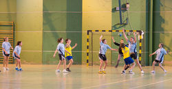 DSC_4214lr5.jpg