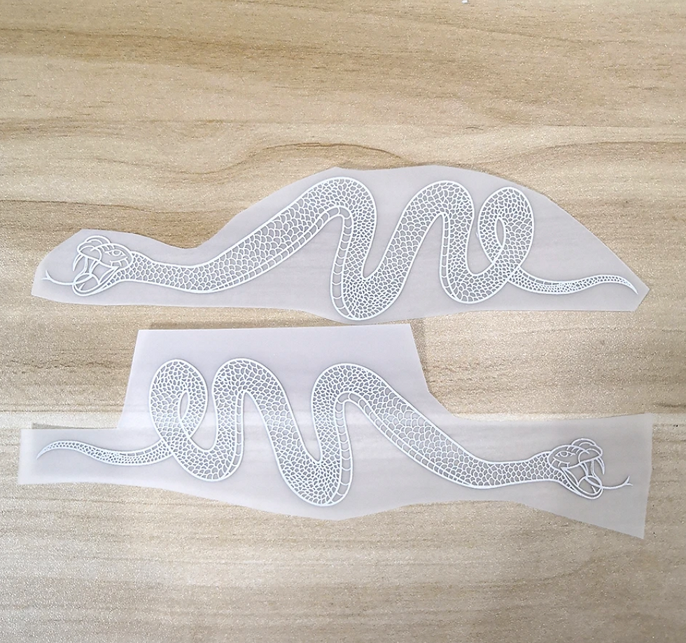 Thumbnail: Snake Customs