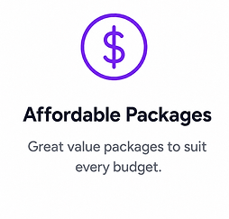 Affordable packages with dollar sign icon.