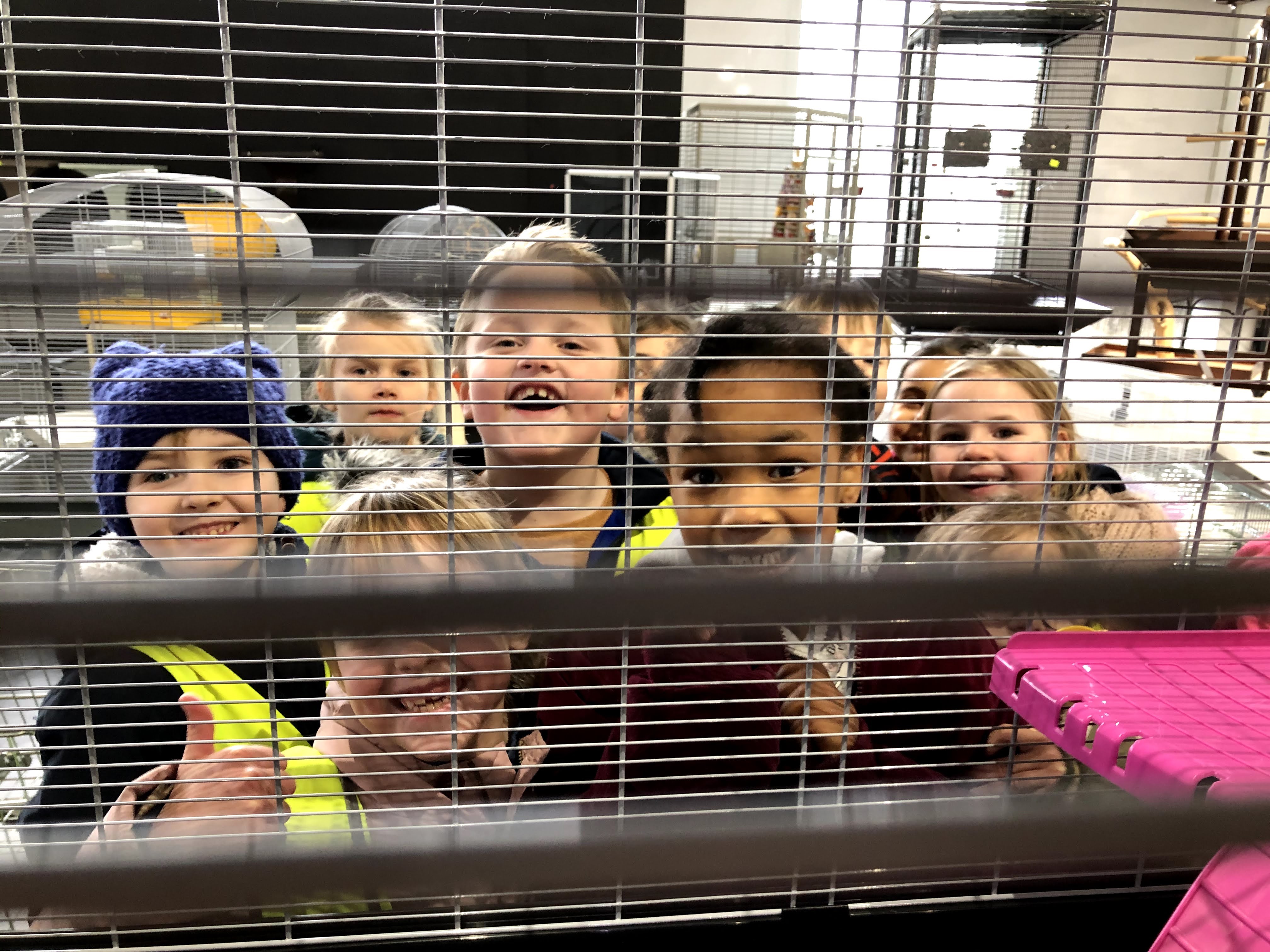 L1 - Bezoek aan de dierenwinkel