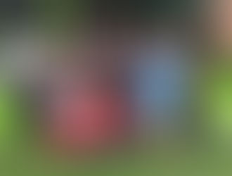 Balanços do Acemira na pandemia