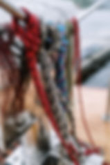 sailing-knots.jpg