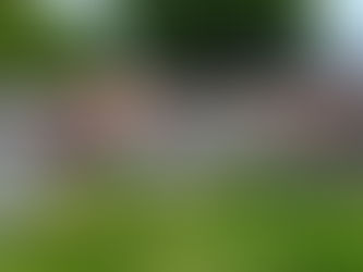 Hard Rock Animal Hospital