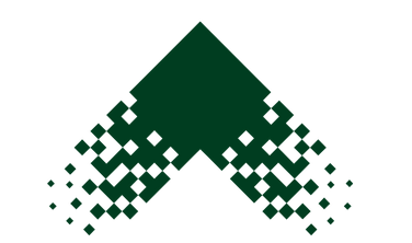 Copy of rifada logo (2).png