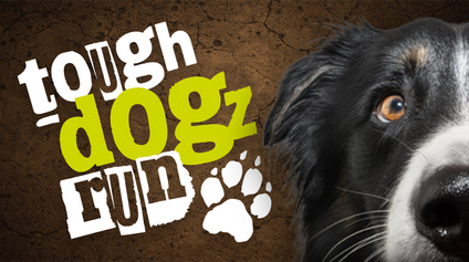 Teaserbild Tough Dogz Run Logo