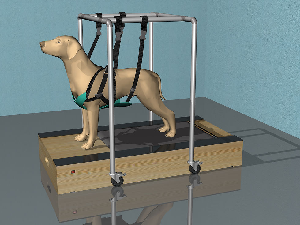 RENDER6