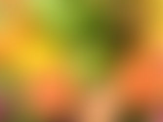 Caribbean Tropical Fruit Snacks Naturally Prepared