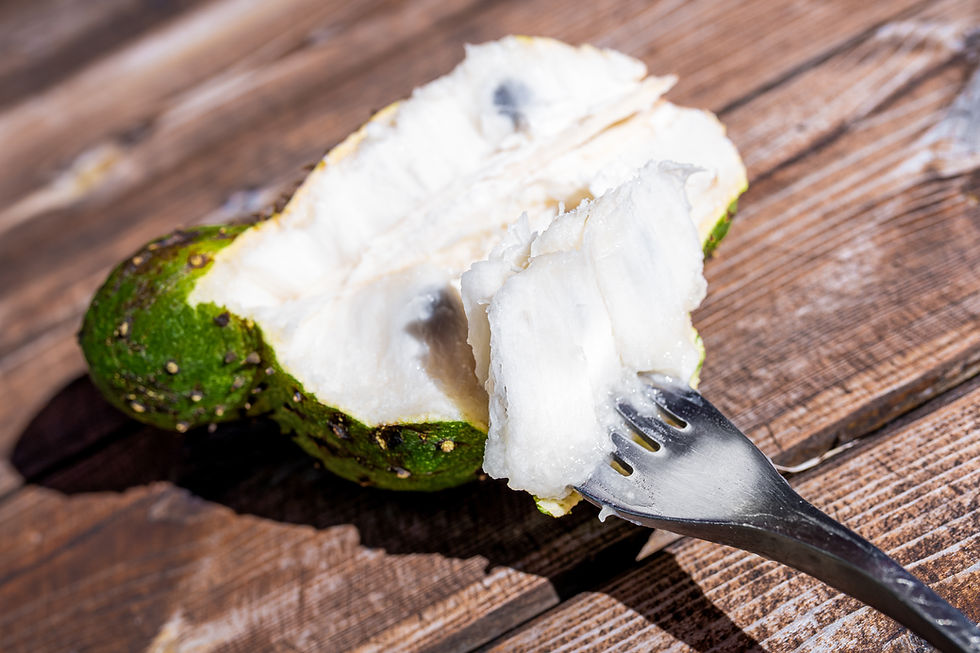 Jamaican Soursop Health Benefits Natural Fruit Juice