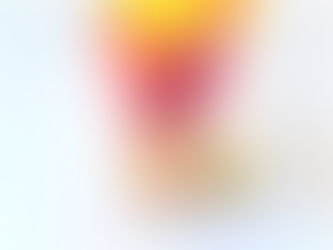 The Revolutionary Authentic Snacking Idea.