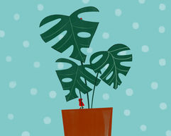 checking the plants.jpeg