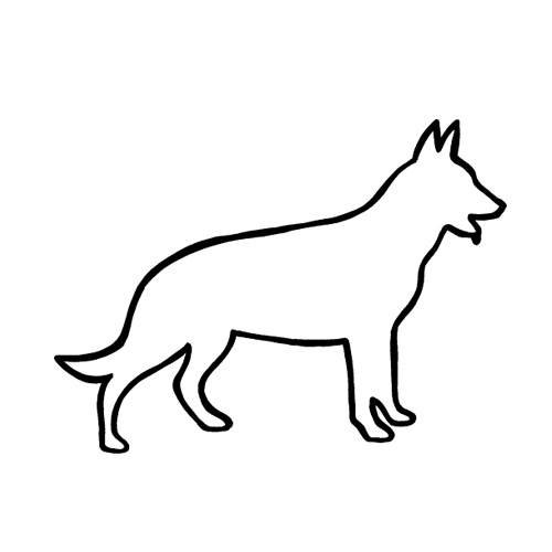 Hund-12