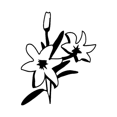 Blomst-28