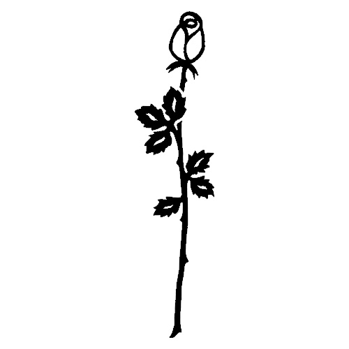 Blomst-7