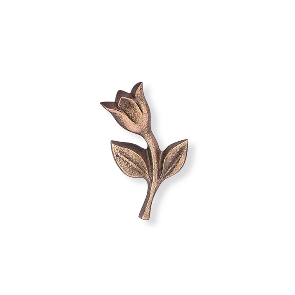 Tulipan nr. 20858